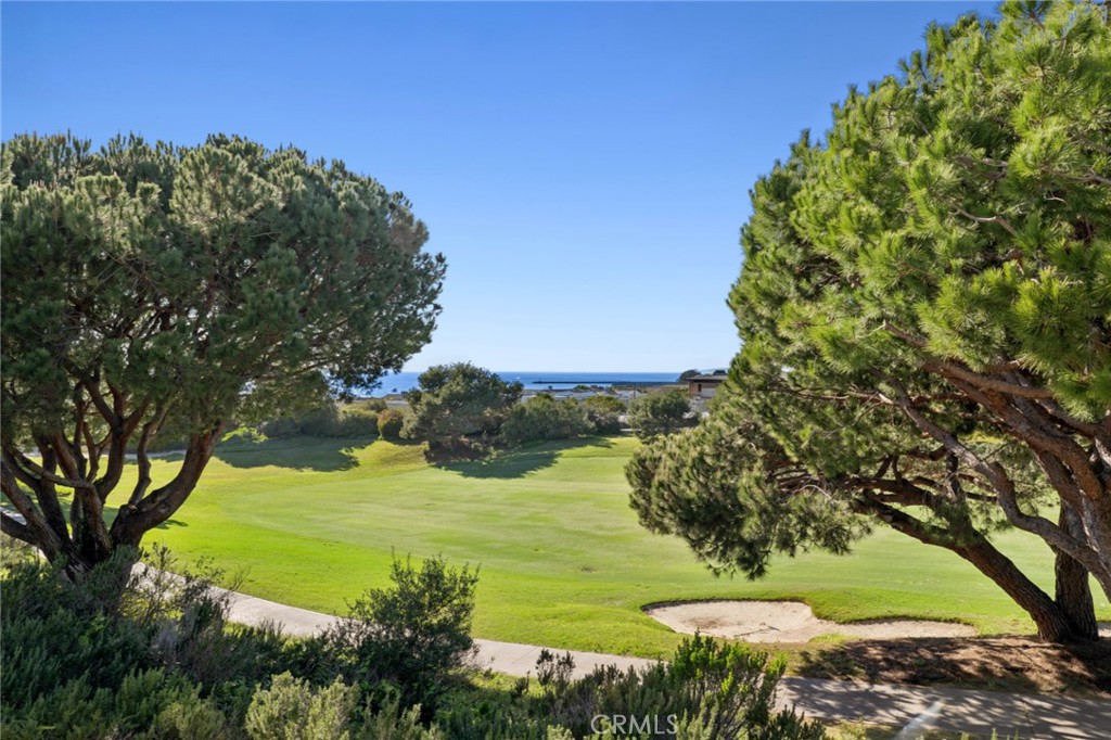 MLS #NP26069876 image #52