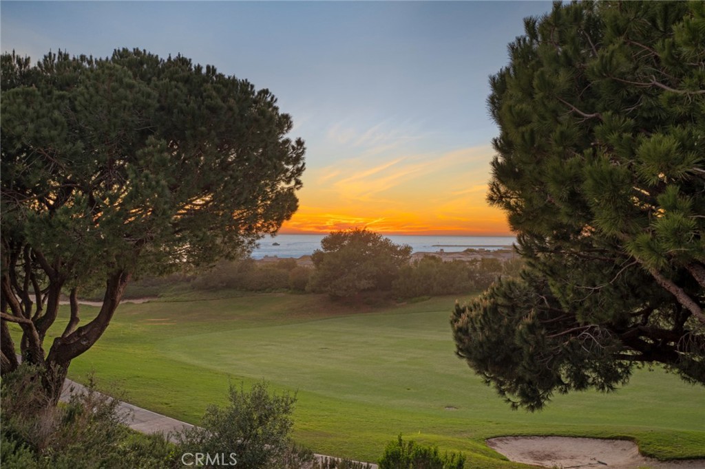 MLS #NP26069876 image #59