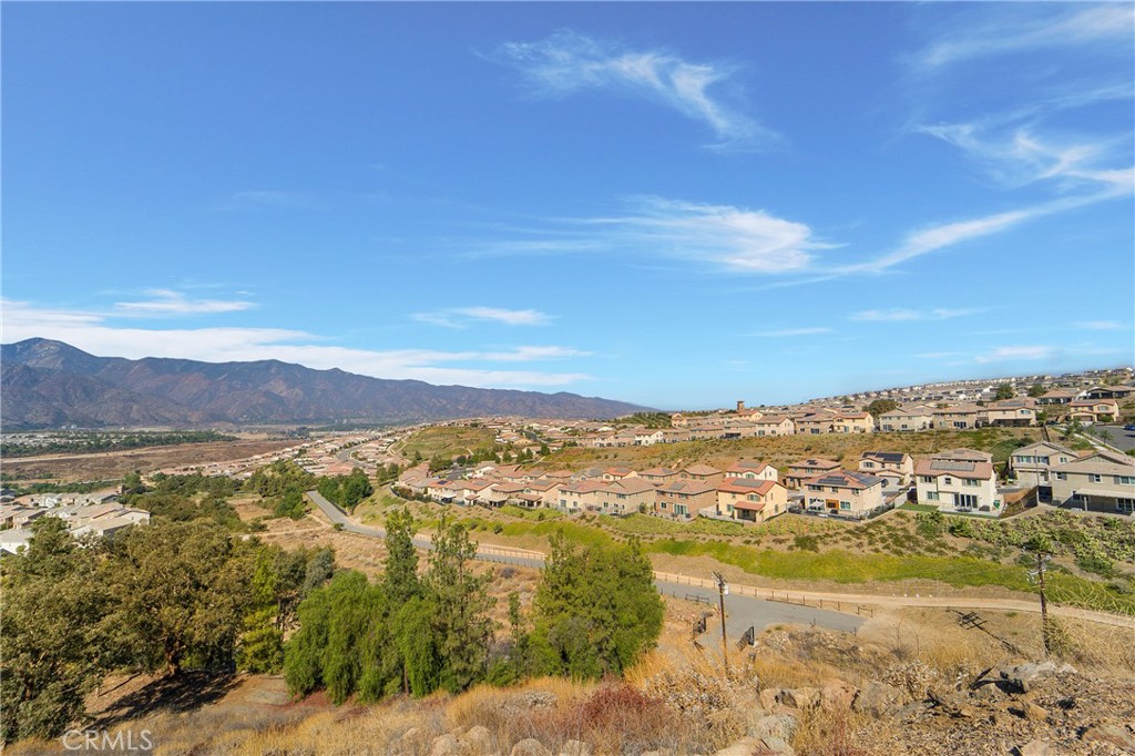 MLS #NP26070257 image #39