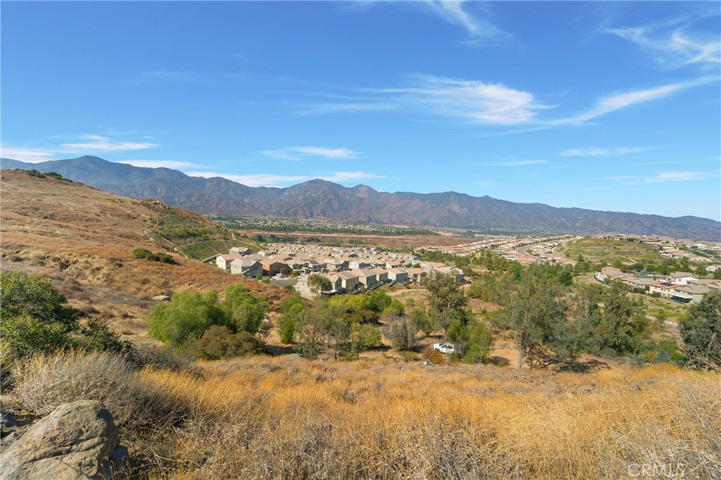 MLS #NP26070257 image #42