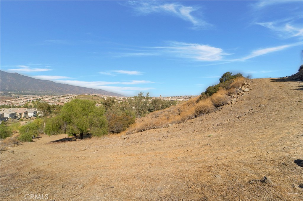 MLS #NP26070257 image #6