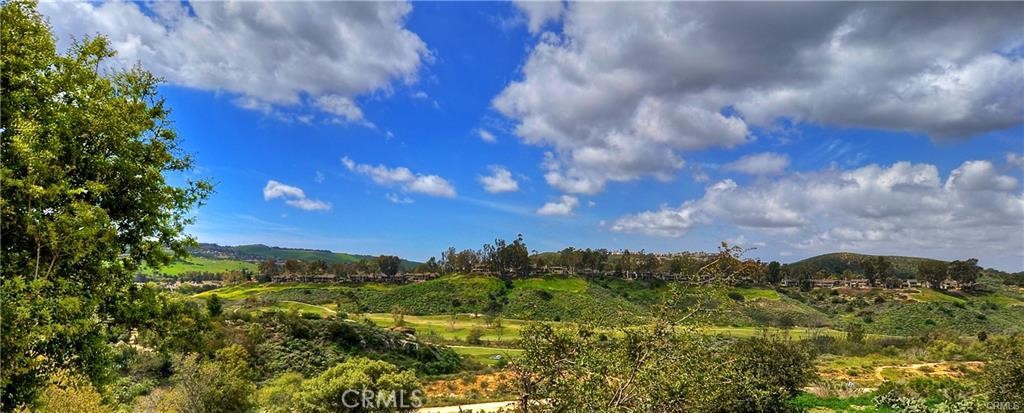 MLS #NP26070556 image #40