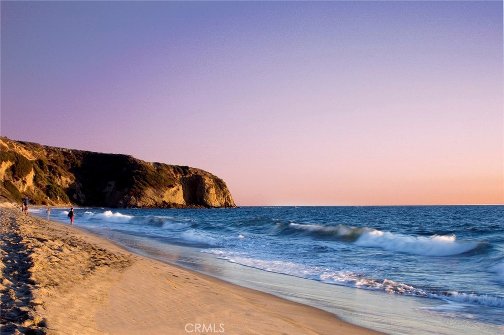 MLS #NP26070981 image #47