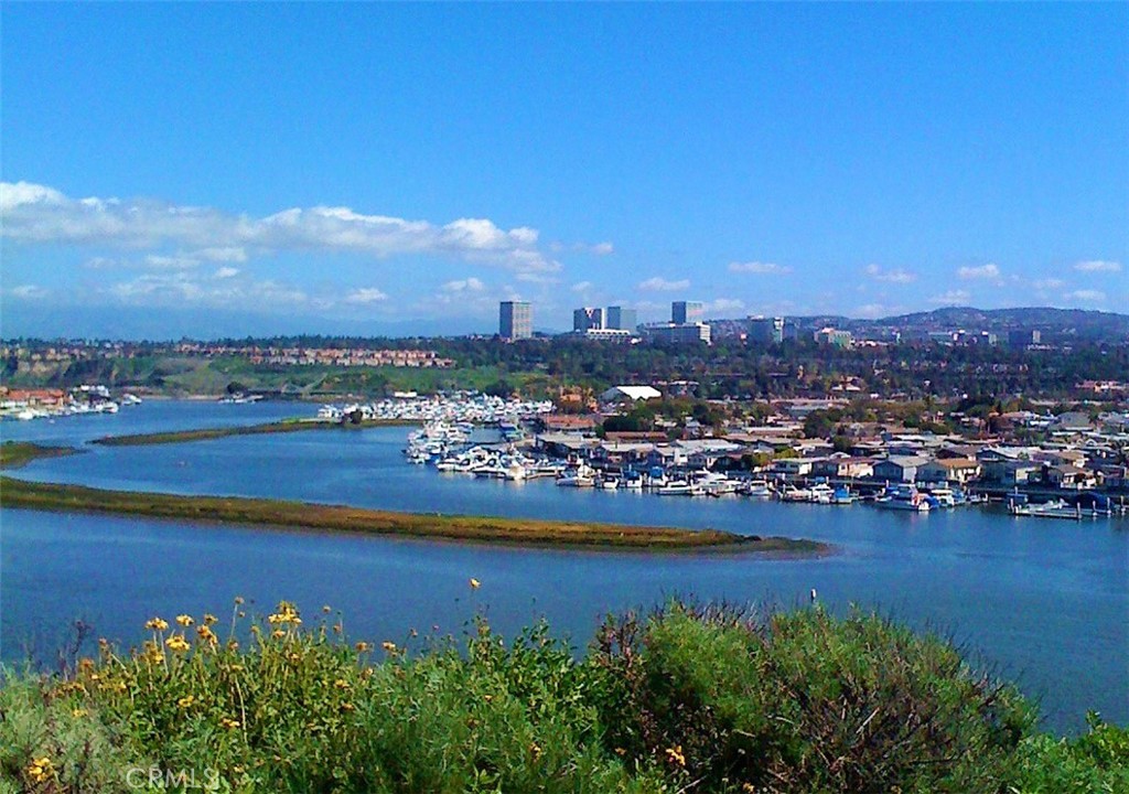 MLS #NP25246334 image #2