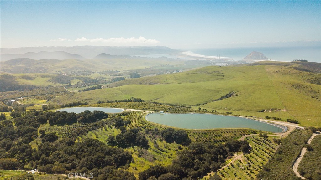 MLS #NS25061446 image #3