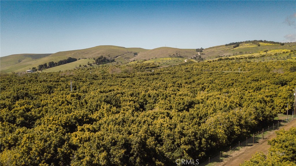 MLS #NS25061446 image #42