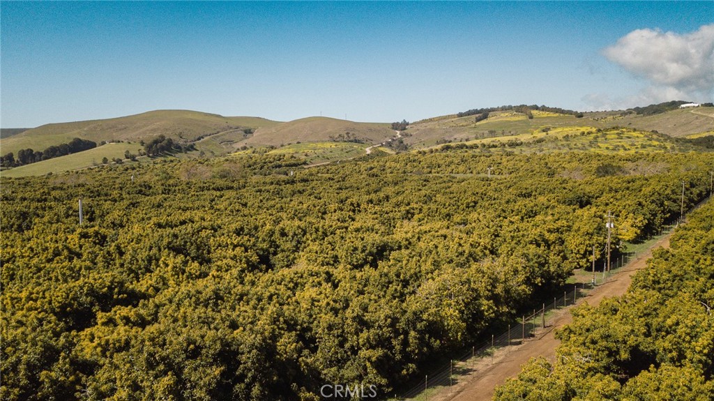 MLS #NS25061446 image #43