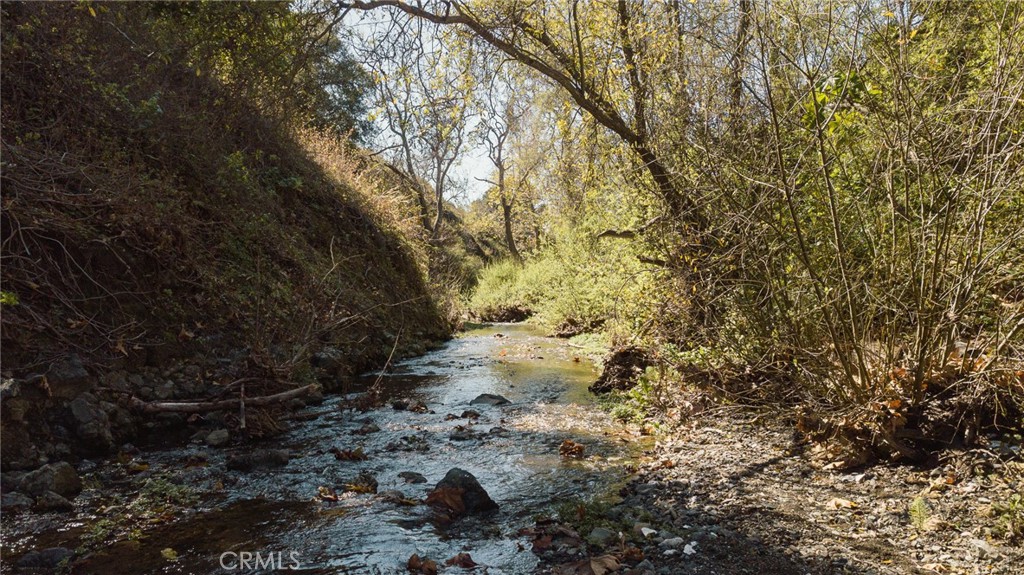 MLS #NS25061446 image #48