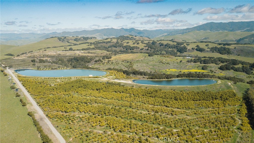 MLS #NS25061446 image #5