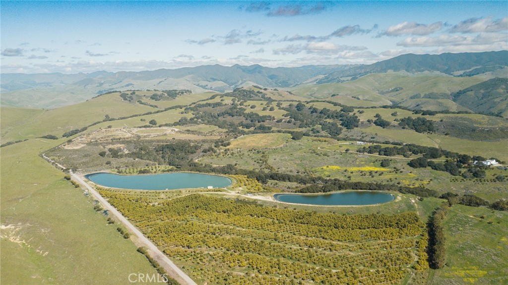 MLS #NS25061446 image #6