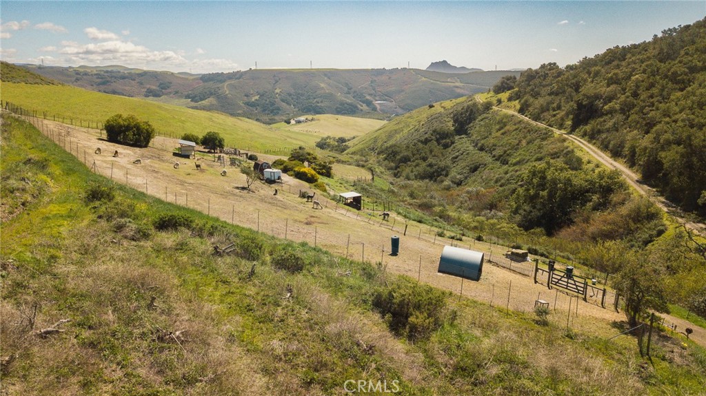 MLS #NS25061446 image #8