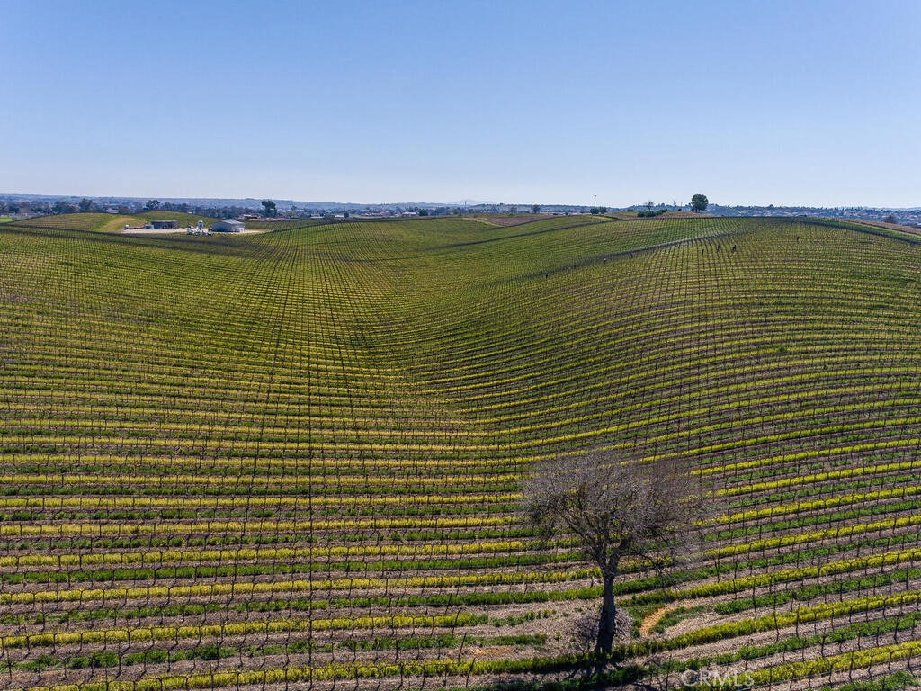 MLS #NS25089723 image #16