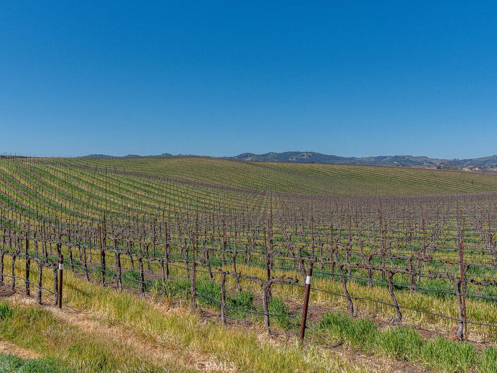 MLS #NS25089723 image #44