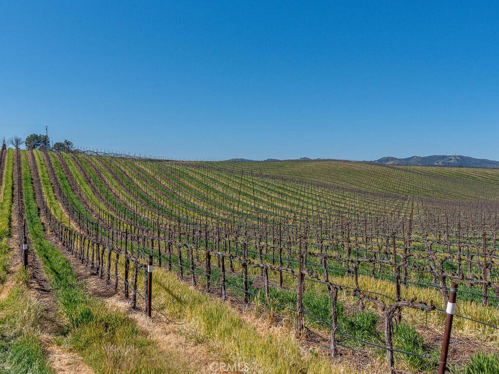 MLS #NS25089723 image #45