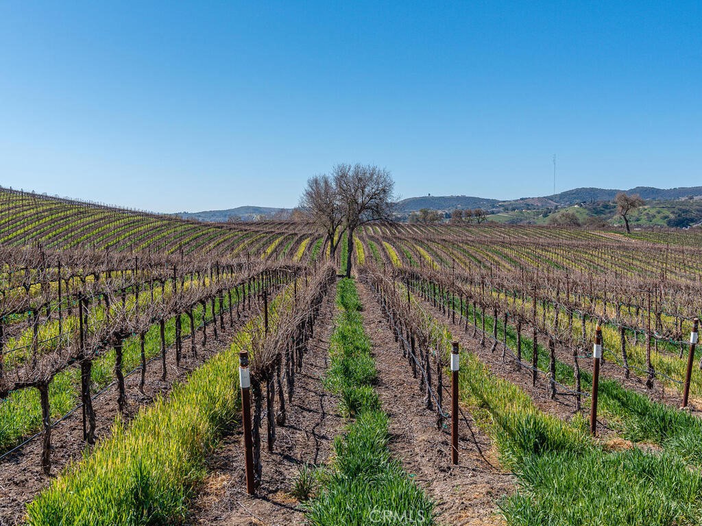 MLS #NS25089723 image #46