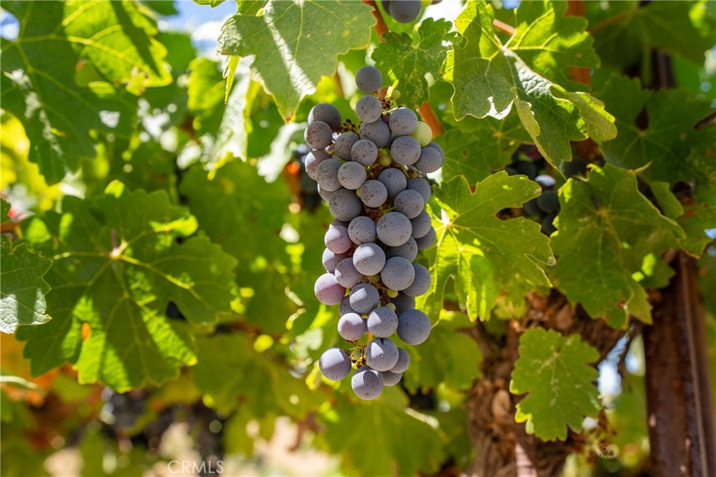 MLS #NS25170230 image #64