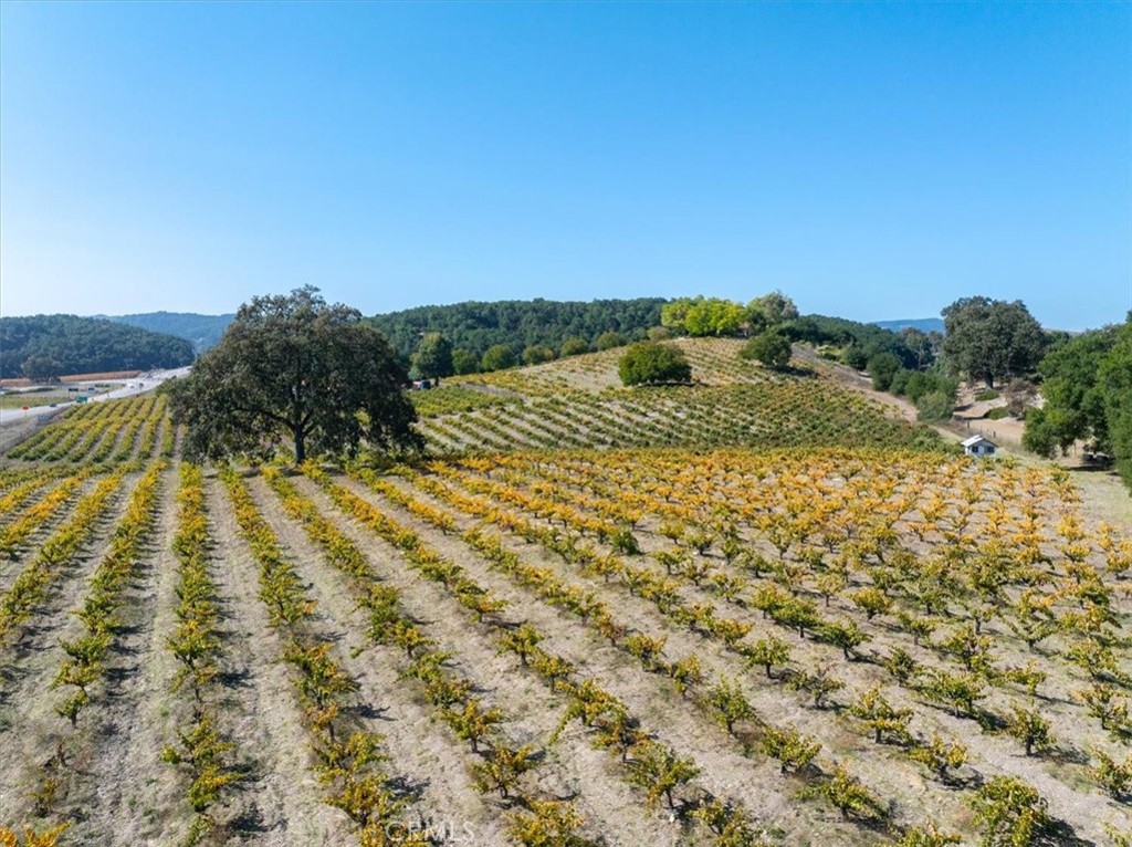 MLS #NS25272502 image #2