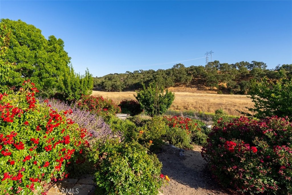 MLS #NS26003128 image #47