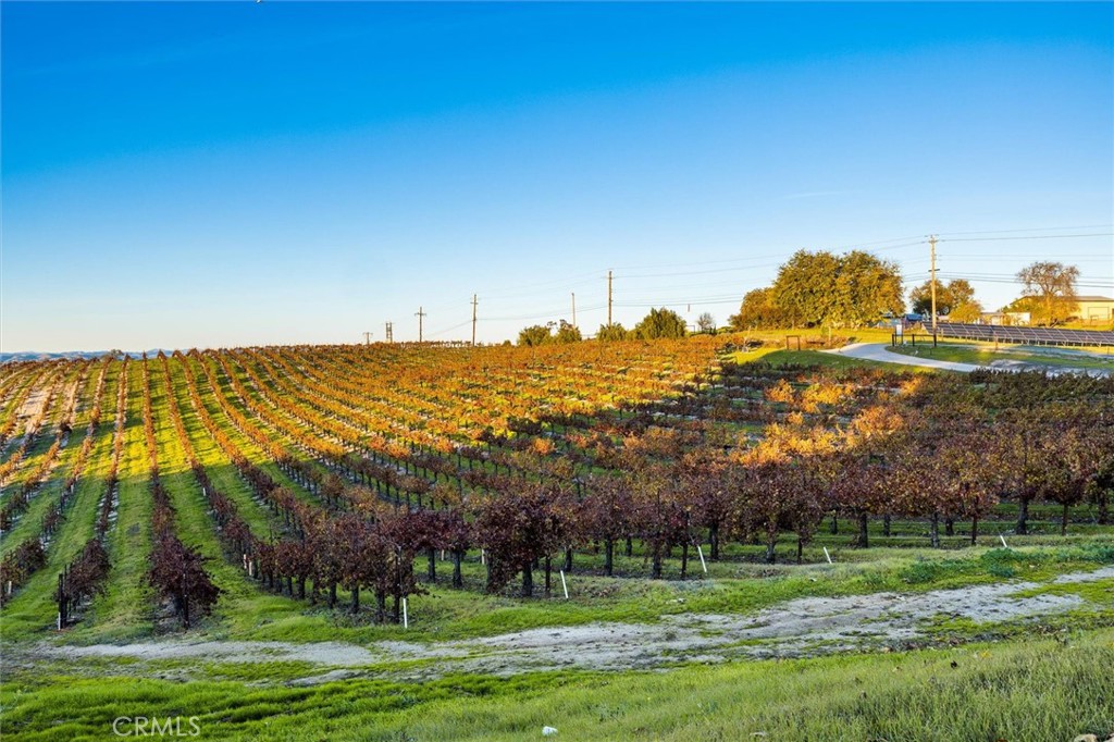 MLS #NS26011354 image #51