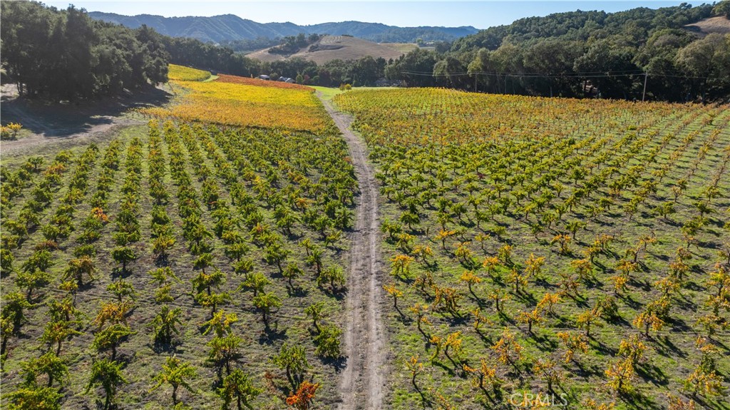 MLS #NS26029726 image #48