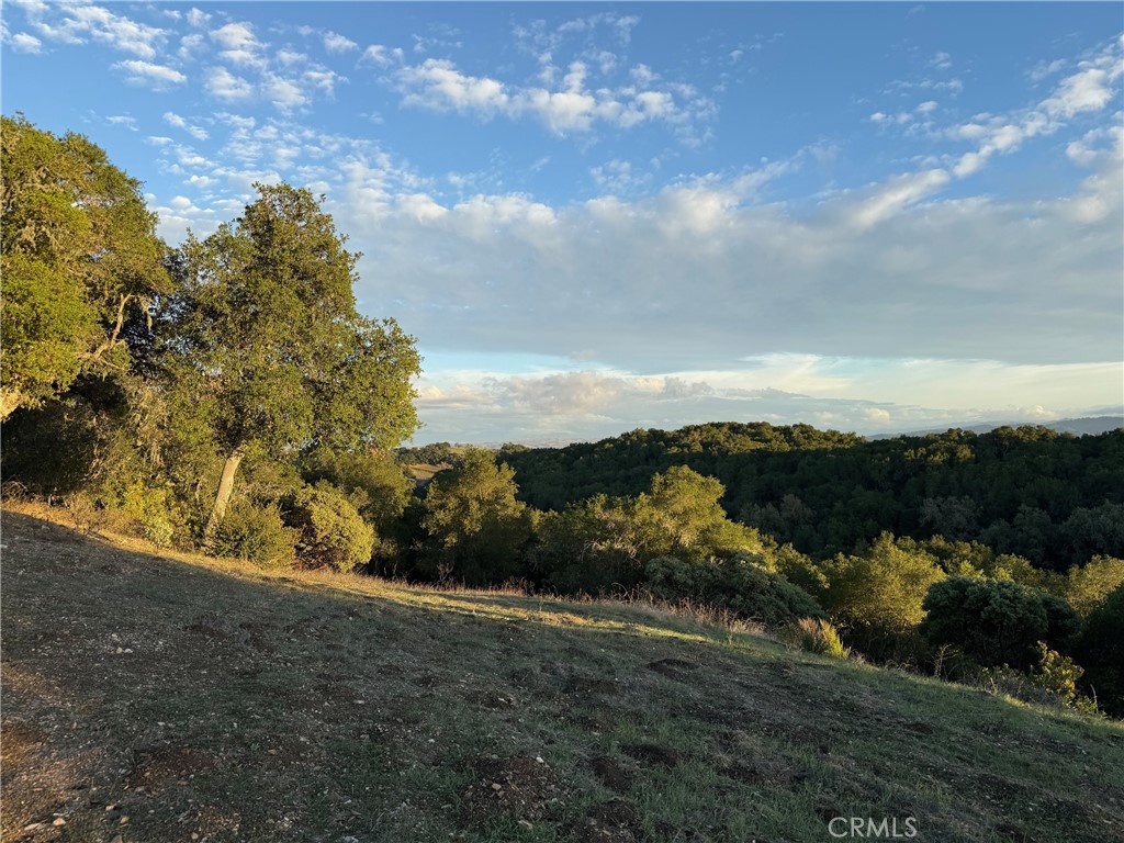 MLS #NS26029726 image #49