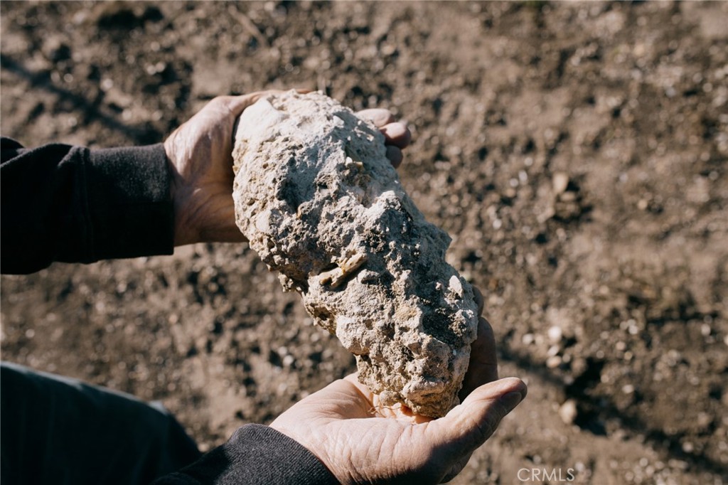 MLS #NS26047253 image #4