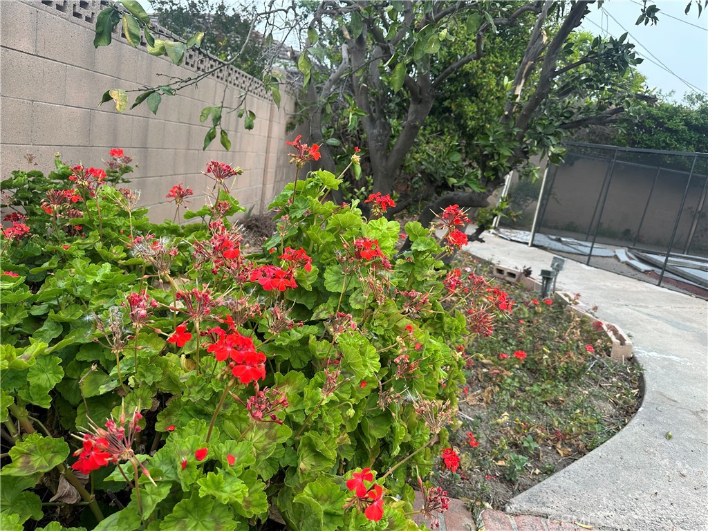 MLS #OC25270697 image #28