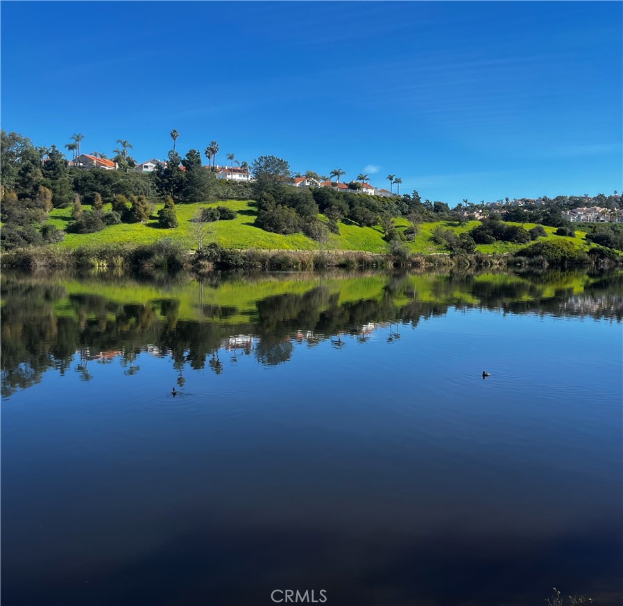 MLS #OC26030964 image #71