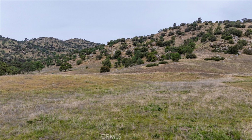 MLS #PI26073942 image #5