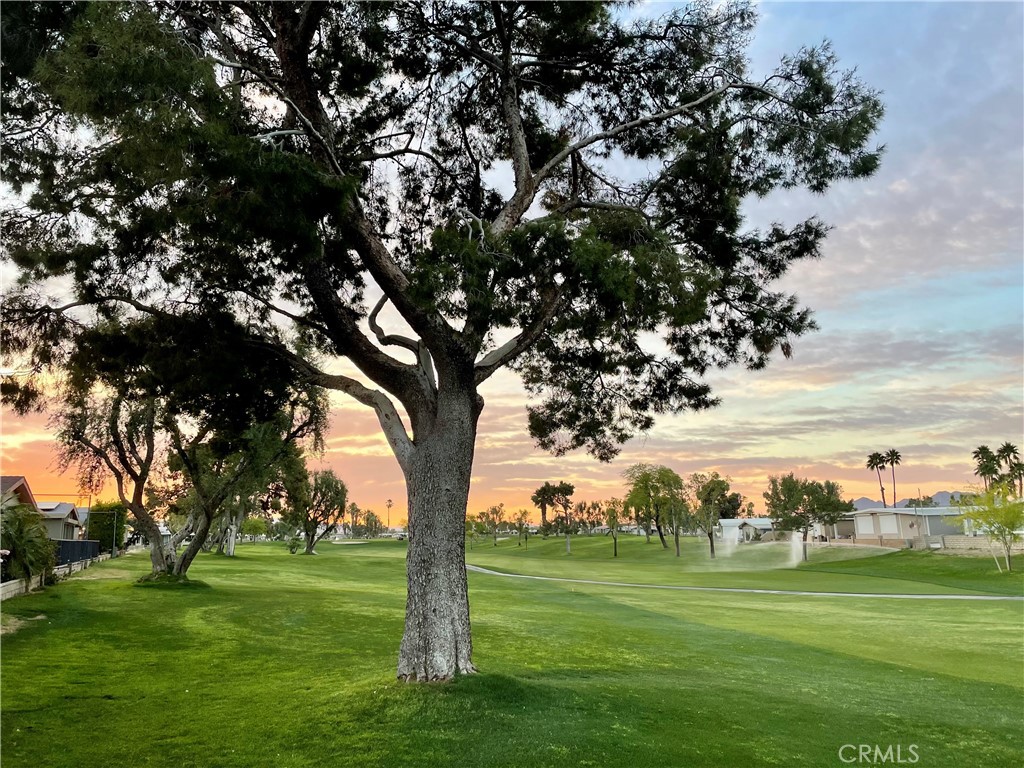 MLS #PT26008751 image #18