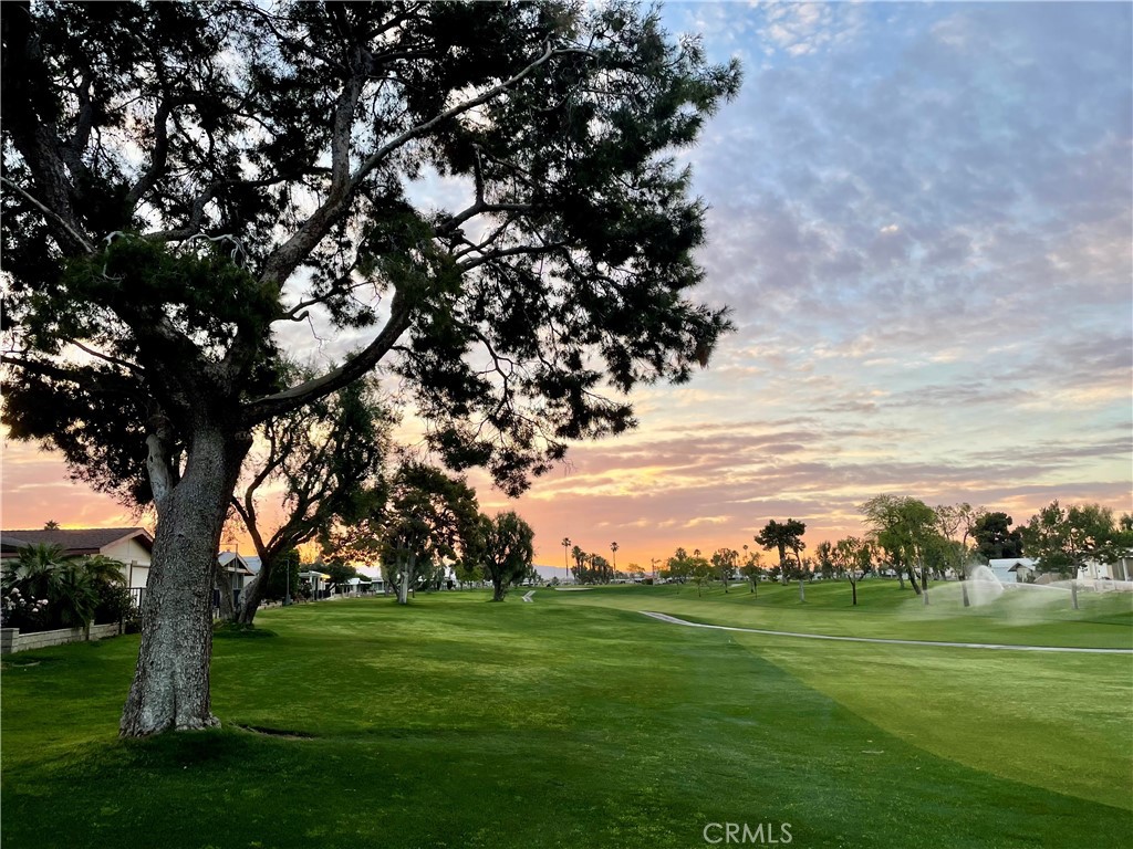 MLS #PT26008751 image #20