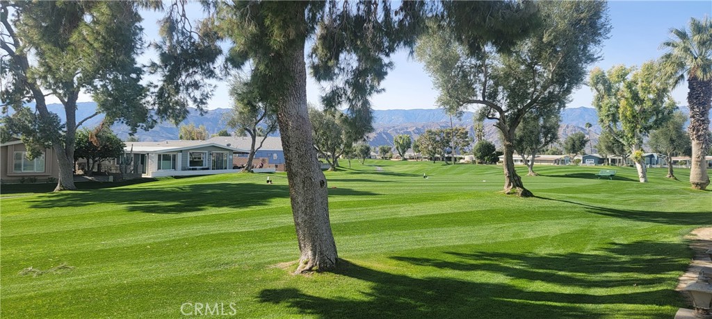 MLS #PT26008751 image #5