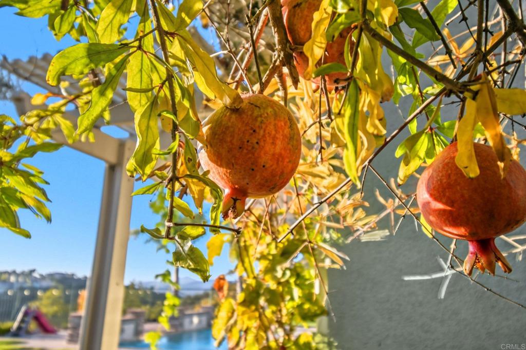 MLS #PTP2601816 image #48