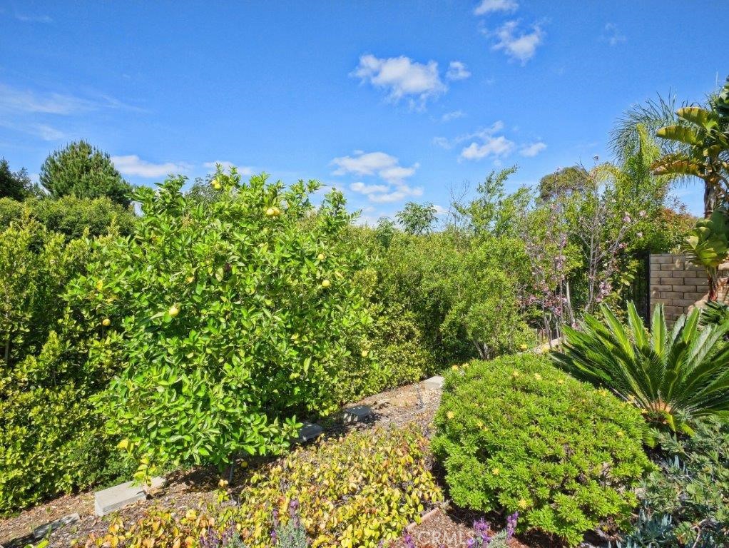 MLS #PV26054163 image #63