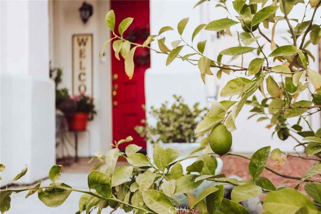 MLS #PV26059442 image #20