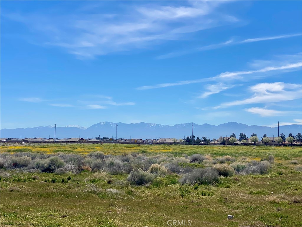 MLS #PW26041426 image #3