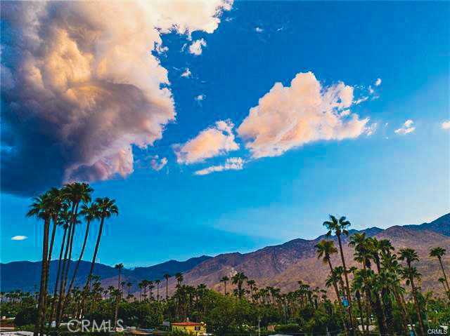 MLS #PW26055612 image #44