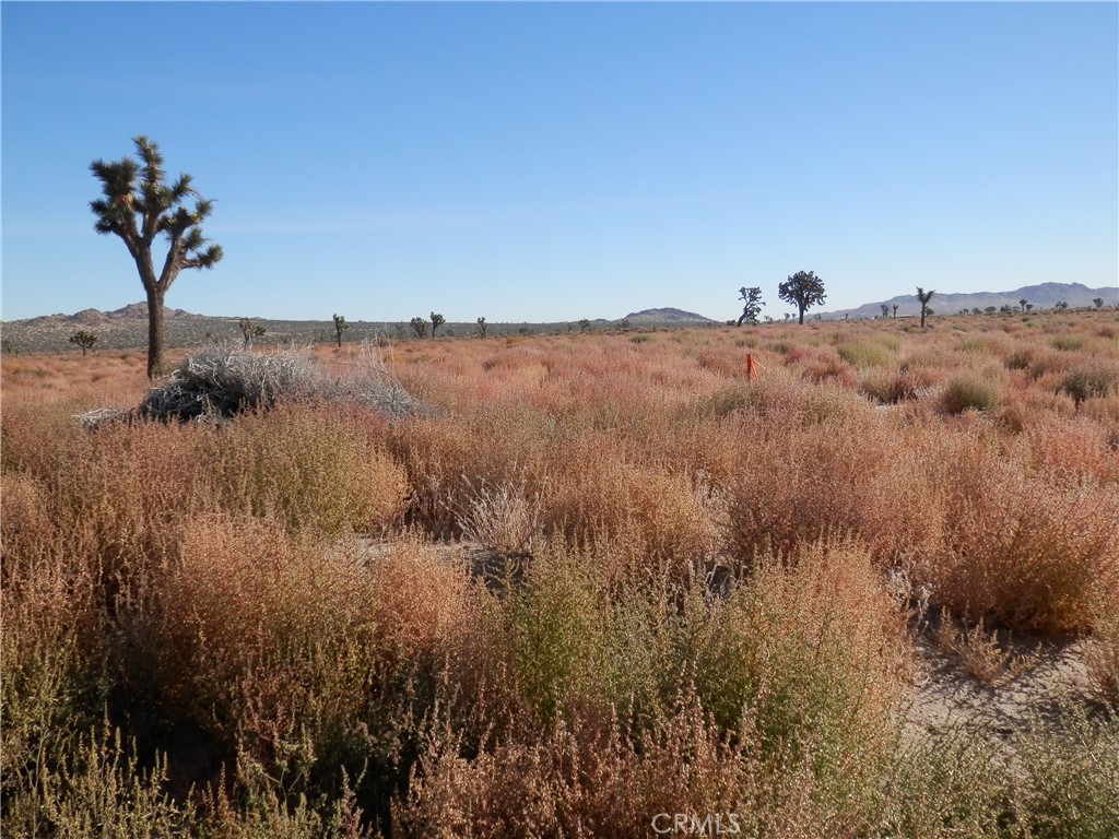 MLS #PW26059971 image #2