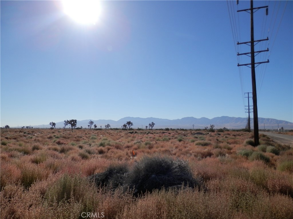 MLS #PW26059971 image #3