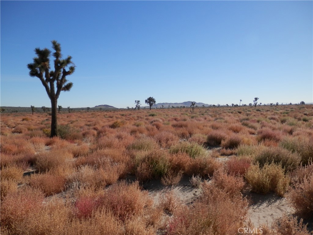 MLS #PW26059971 image #4