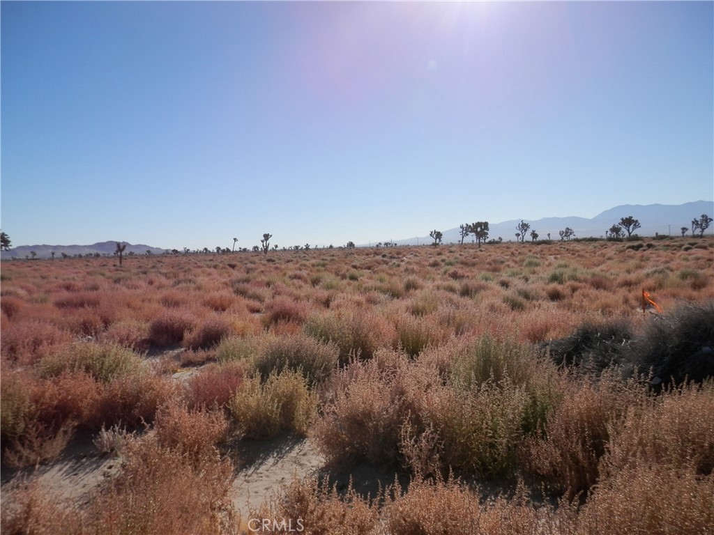 MLS #PW26059971 image #5