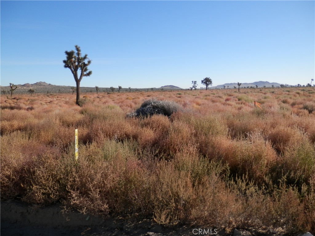 MLS #PW26059971 image #6