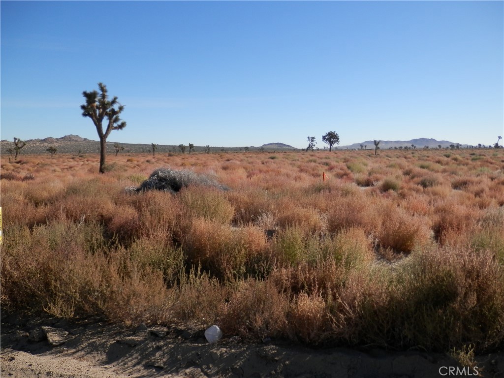 MLS #PW26059971 image #7