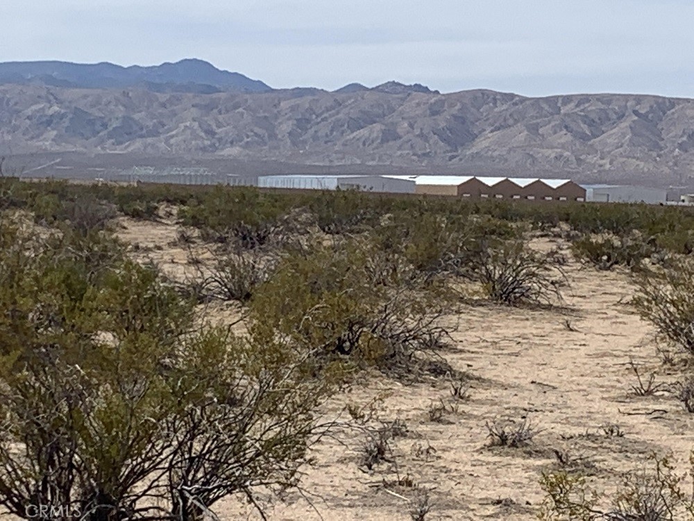 MLS #PW26060112 image #3