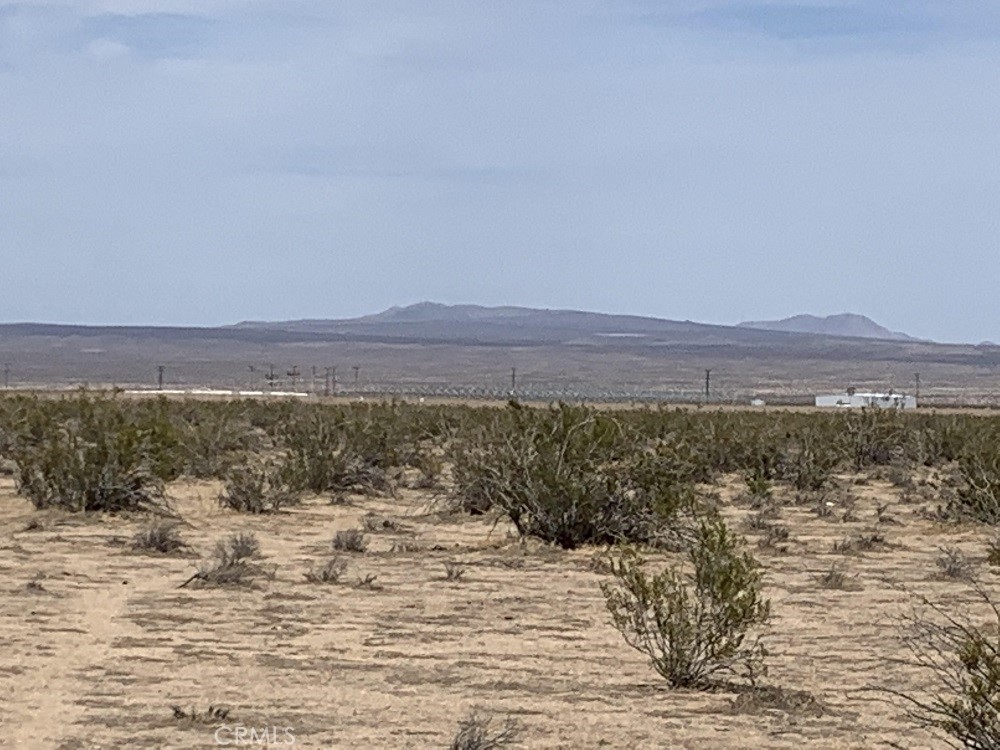 MLS #PW26060112 image #4