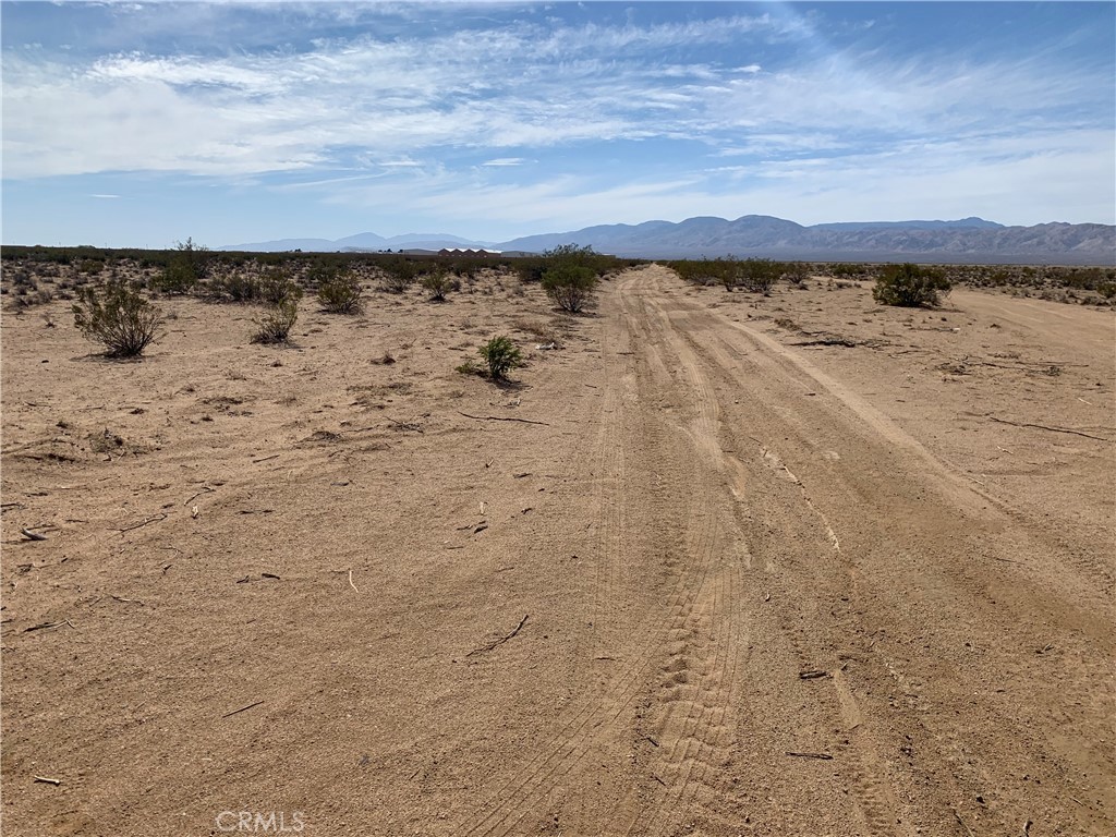 MLS #PW26060112 image #6