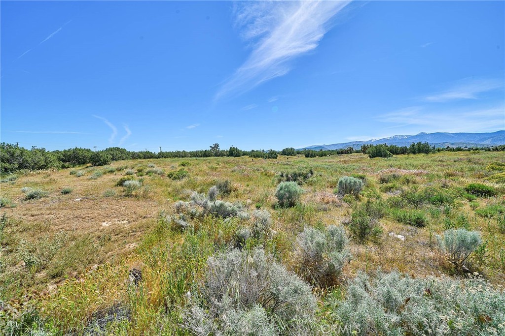 MLS #PW26066116 image #10