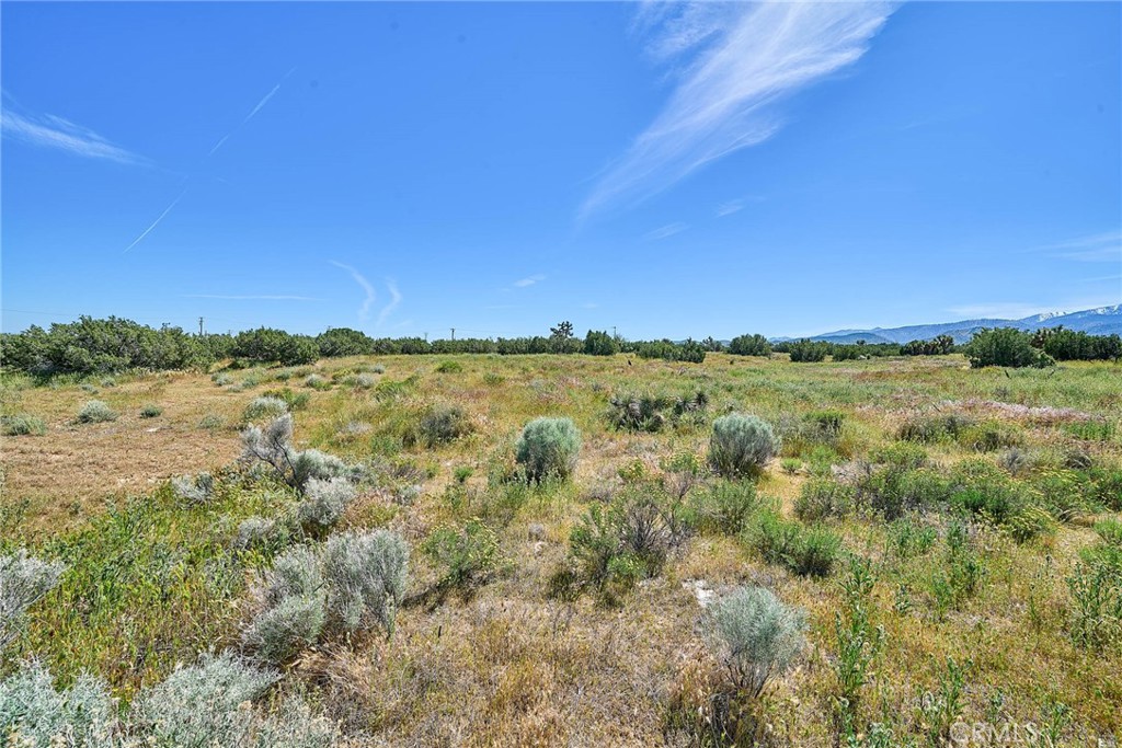 MLS #PW26066116 image #9