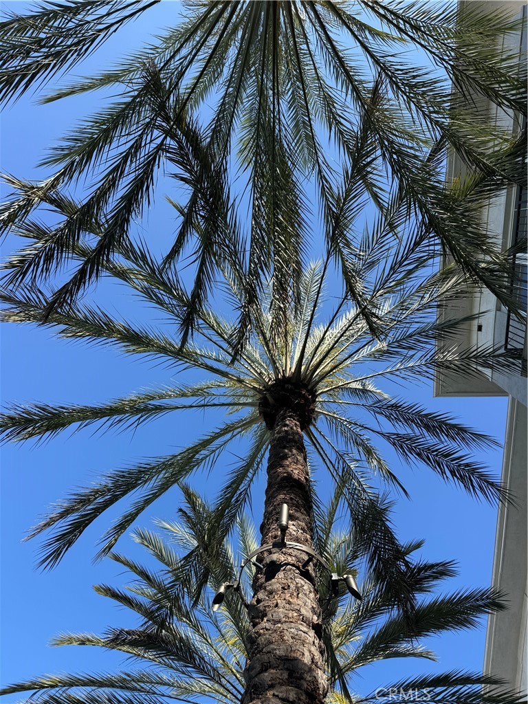 MLS #PW26073463 image #28