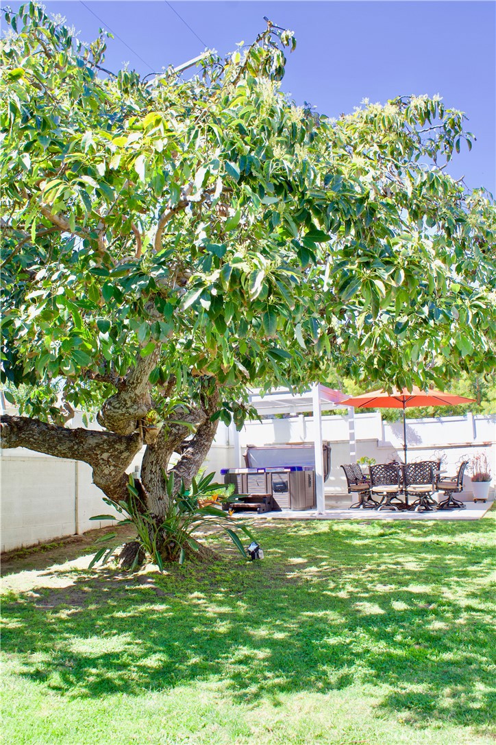 MLS #SB26051603 image #35